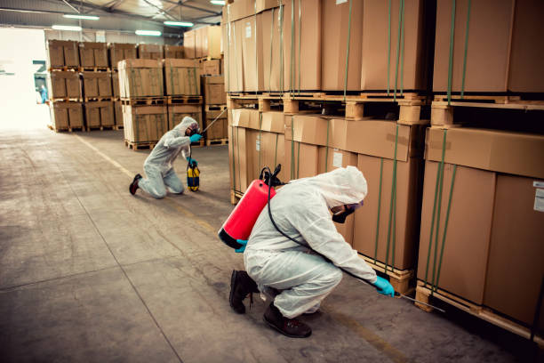 Best Flea Control Services  in Stormstown, PA
