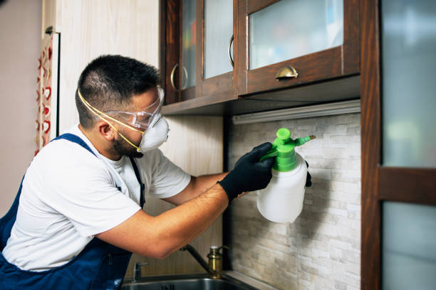 Best Flea Control Services  in Stormstown, PA