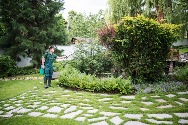 Best Pest Prevention Services  in Stormstown, PA