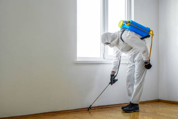 Reliable Stormstown, PA Pest Control Solutions