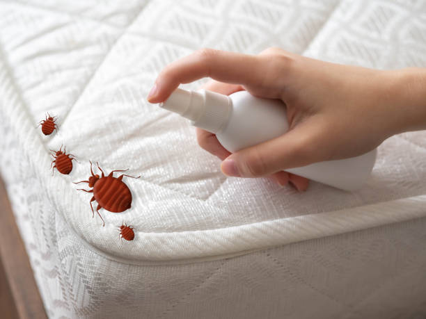 Best Residential Pest Control  in Stormstown, PA